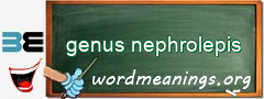 WordMeaning blackboard for genus nephrolepis